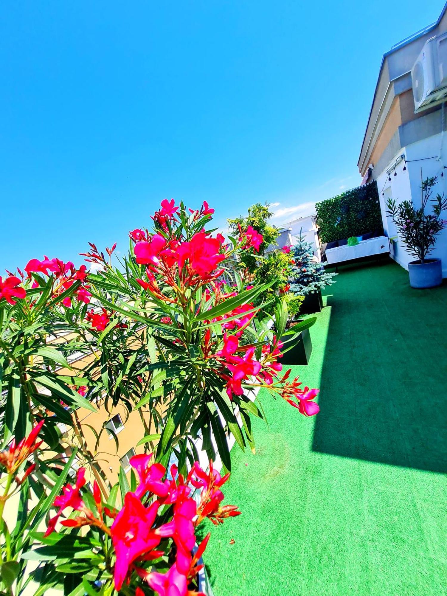 Penthouse View Aeroport Iasi Exterior foto