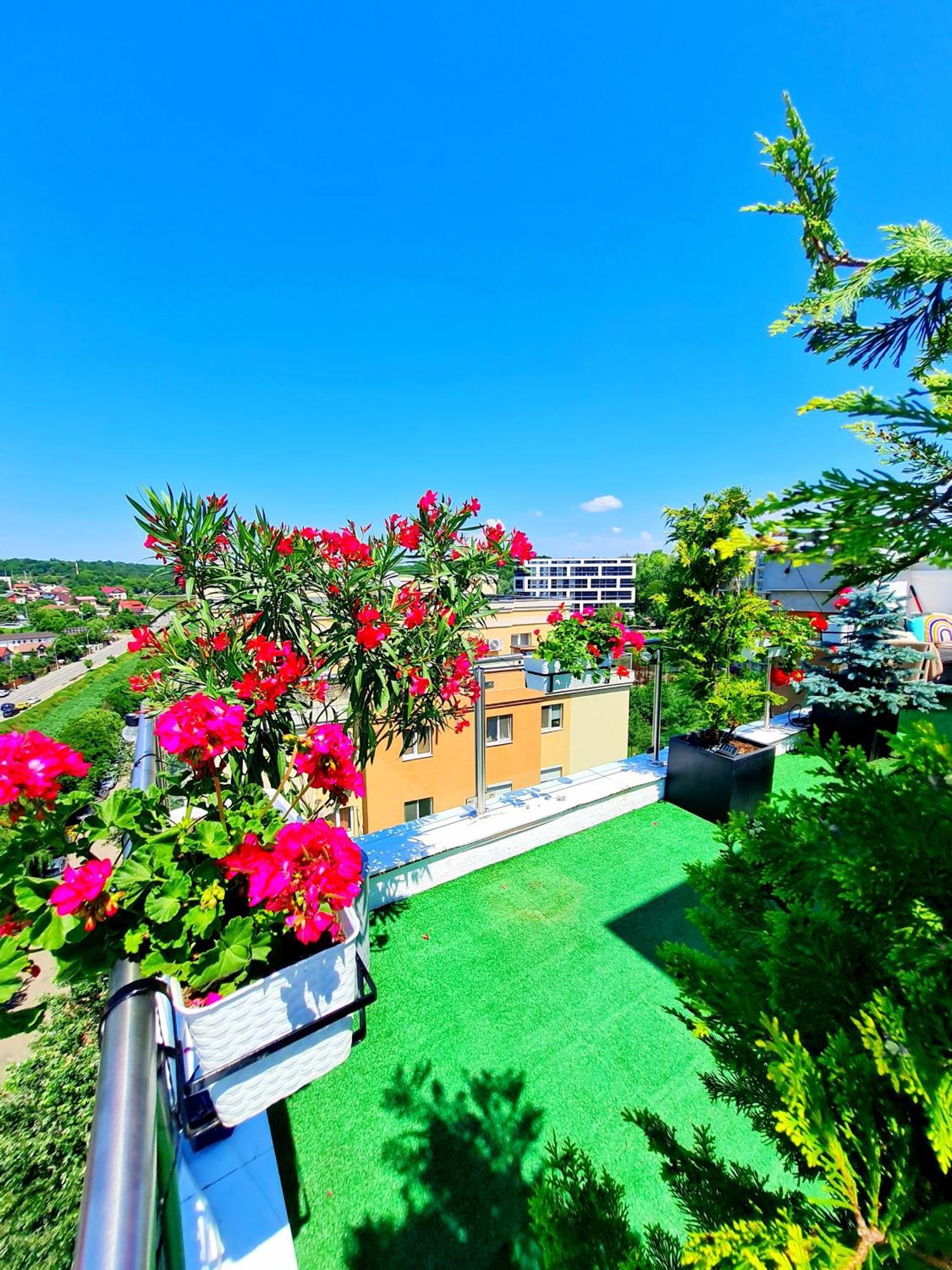 Penthouse View Aeroport Iasi Exterior foto