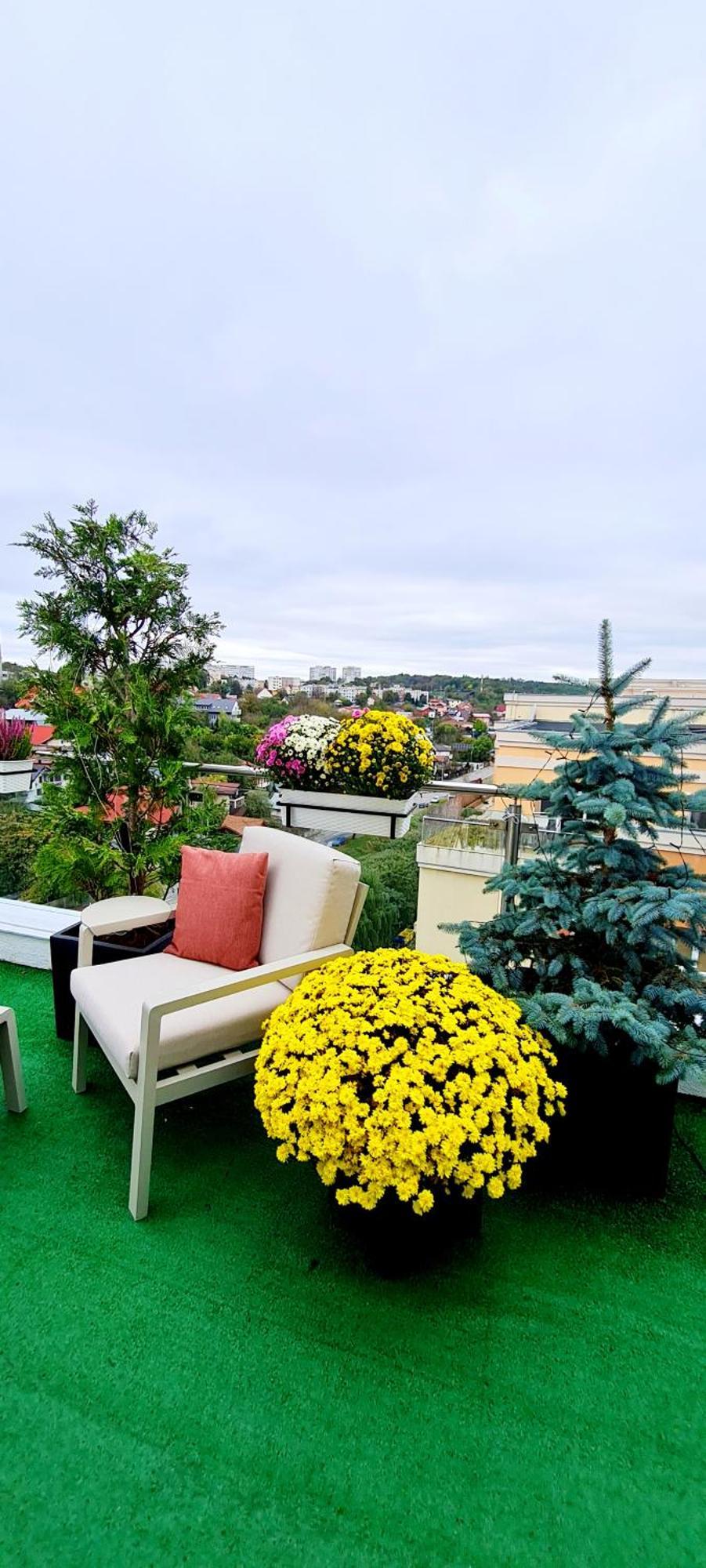 Penthouse View Aeroport Iasi Exterior foto